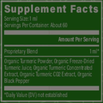 Global Healing Turmeric Raw Herbal Extract 2 oz liquid - 2 oz